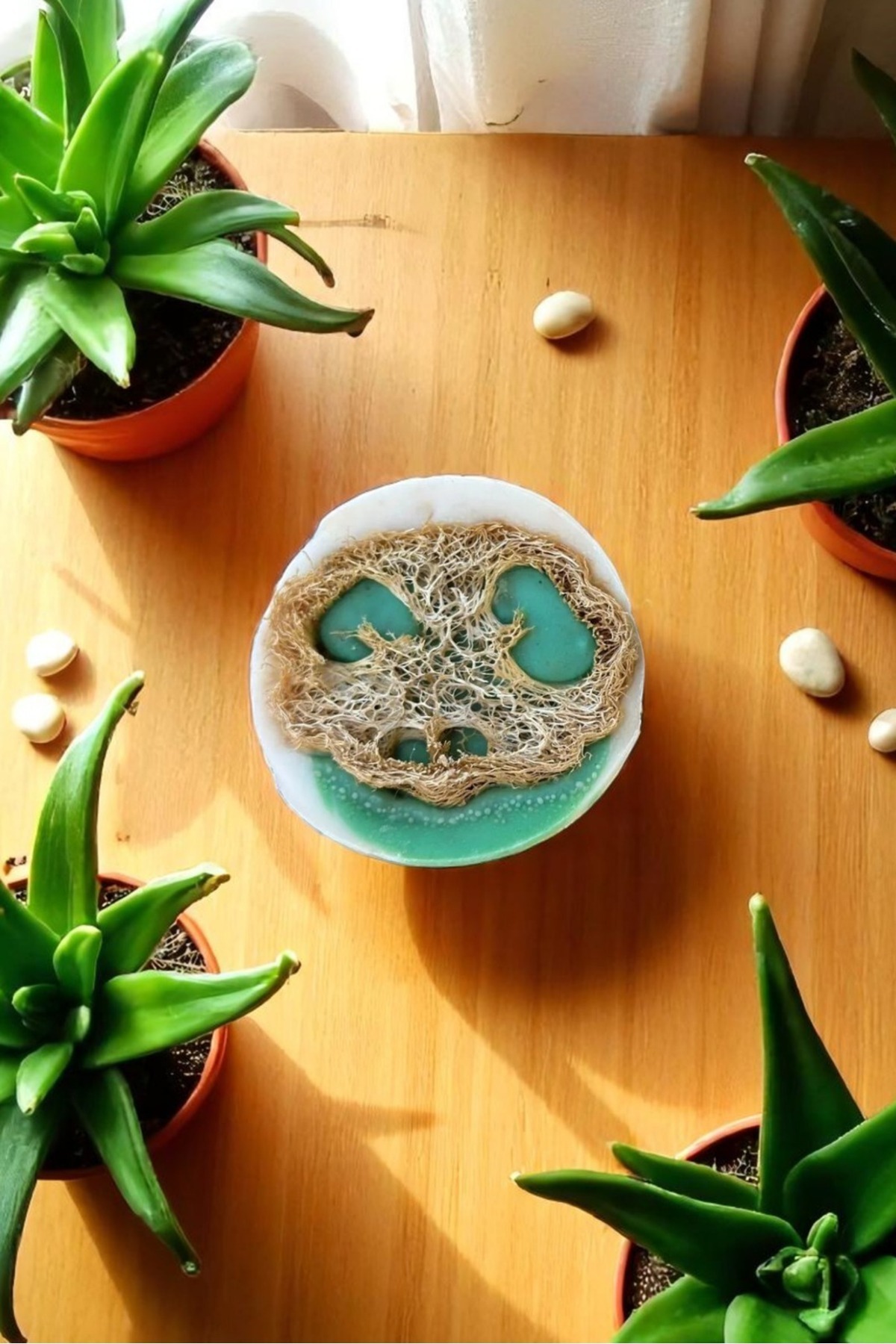 Cildinize Aşk Katan Aloe Vera Kabak Lifli Sabun — görsel 4